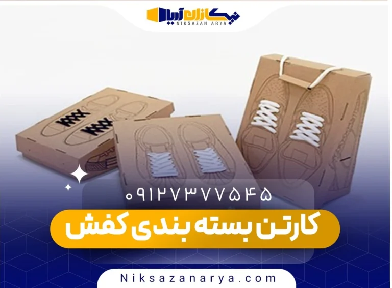 کارتن کفش