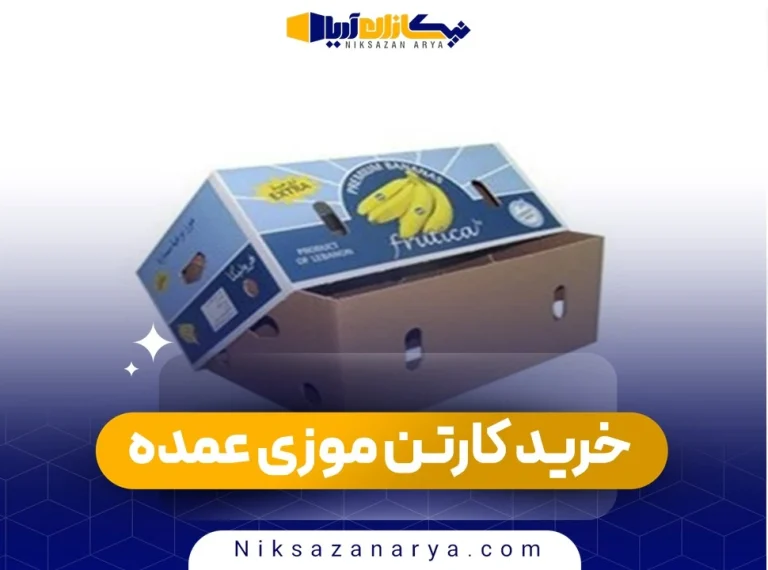 خرید کارتن موزی عمده