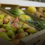 فروش کارتن بسته بندی میوه صادراتی