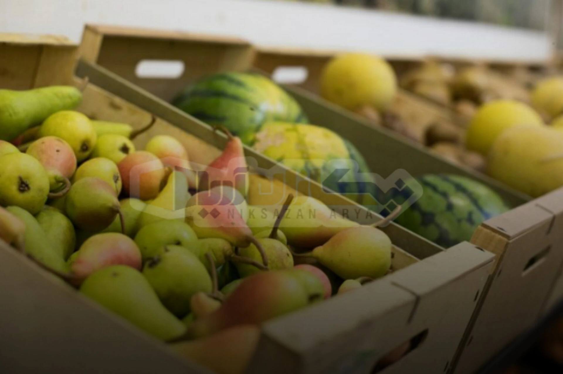 فروش کارتن بسته بندی میوه صادراتی