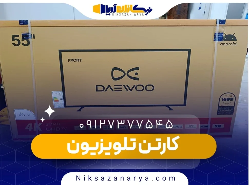 کارتن تلویزیون