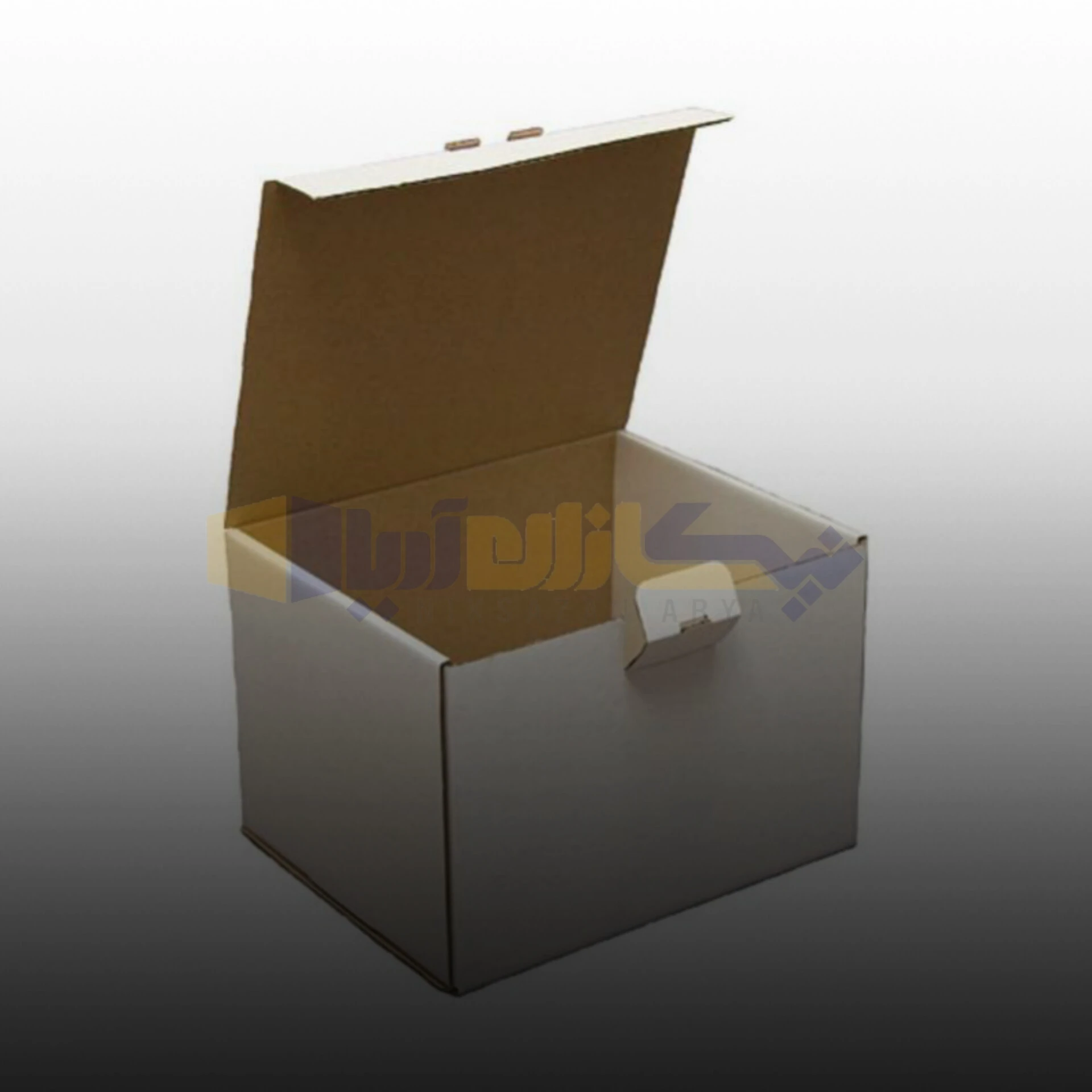 فروش کارتن