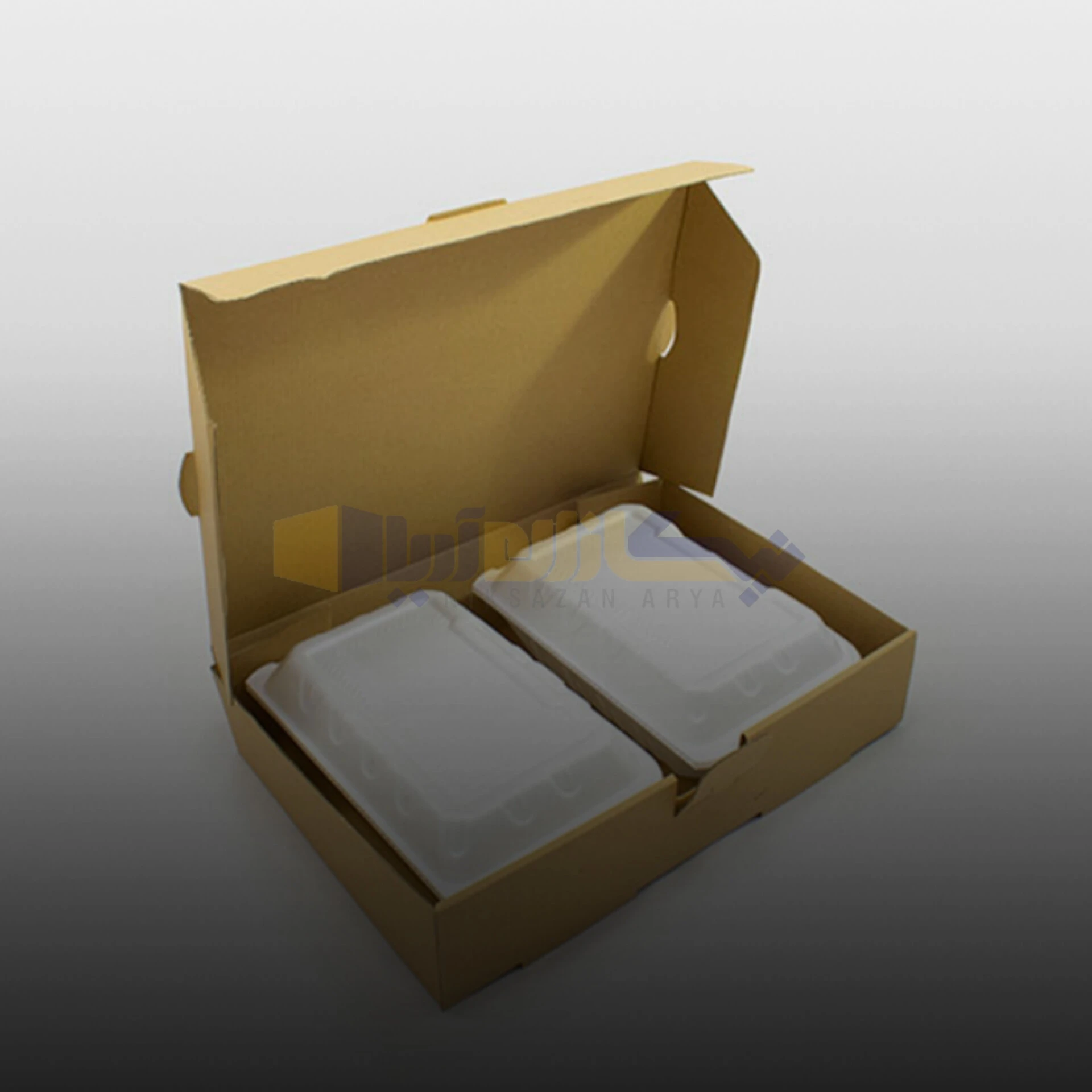 انواع بسته بندی غذای بیرون بر