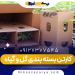 کارتن بسته بندی گل و گیاه
