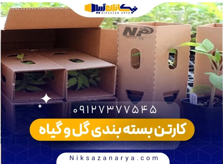 کارتن بسته بندی گل و گیاه