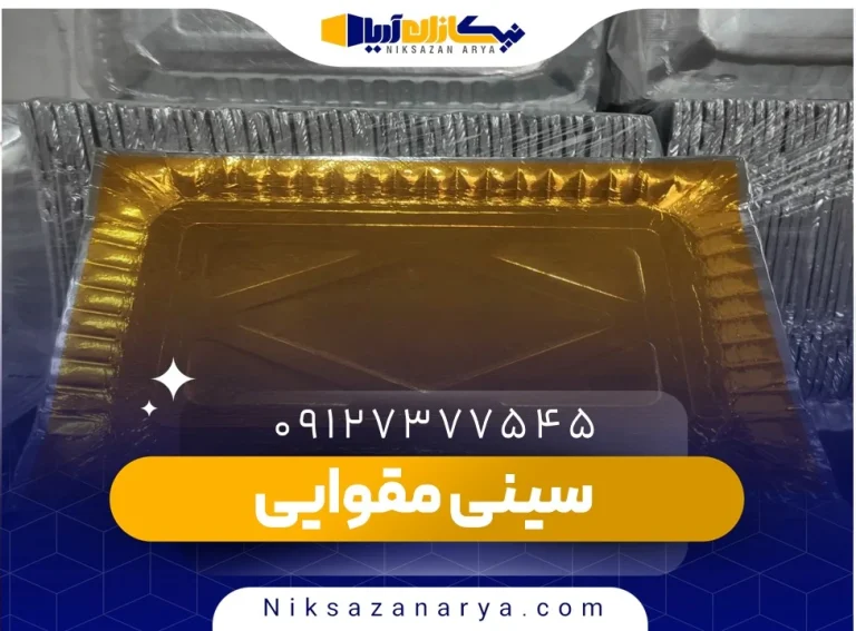 سینی مقوایی