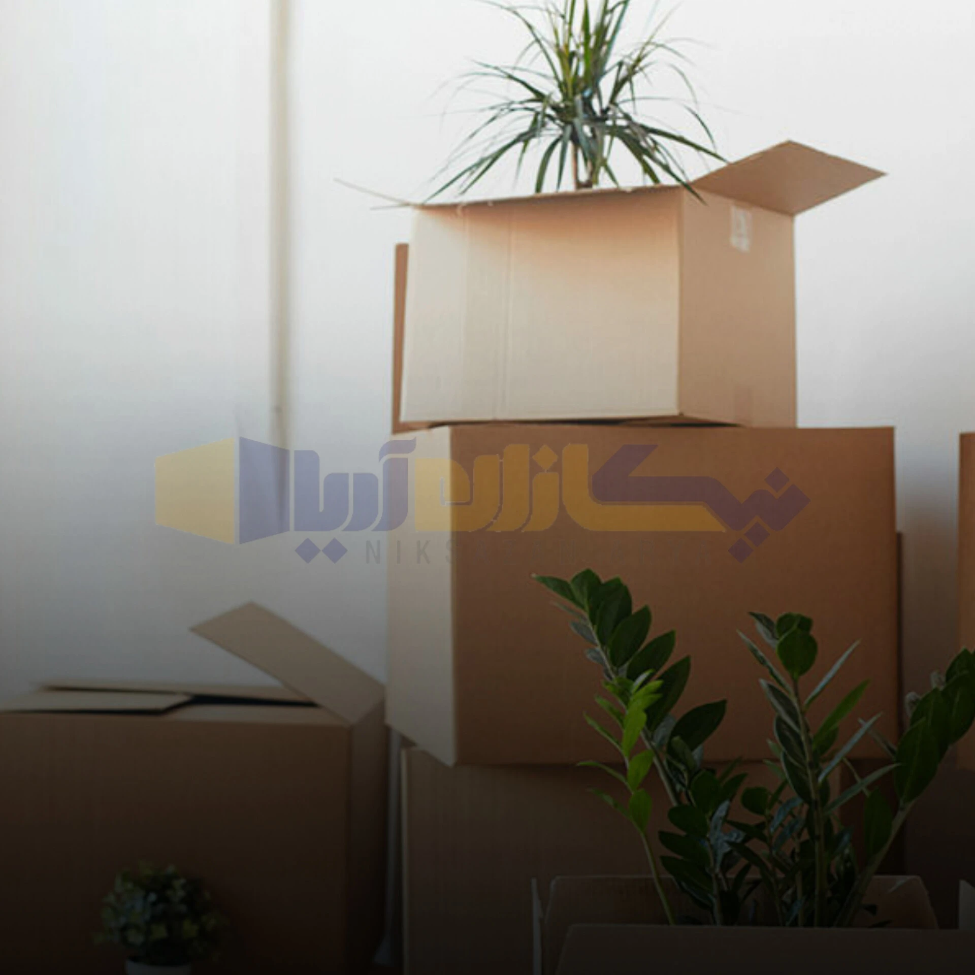 خرید کارتن بسته بندی گل و گیاه