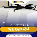 کارتن زیره رویه