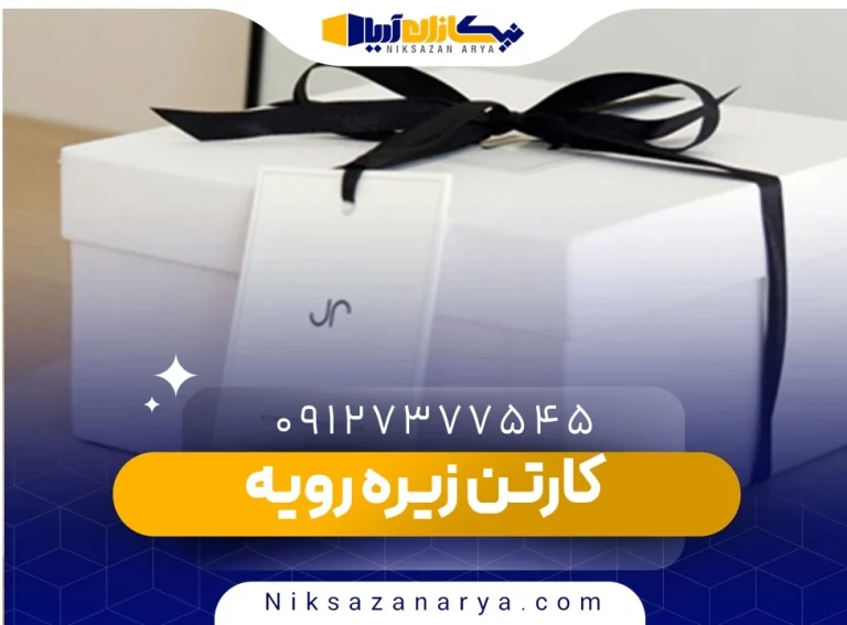 کارتن زیره رویه