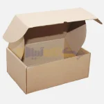 کارتن سفارشی