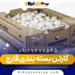 کارتن بسته بندی قارچ