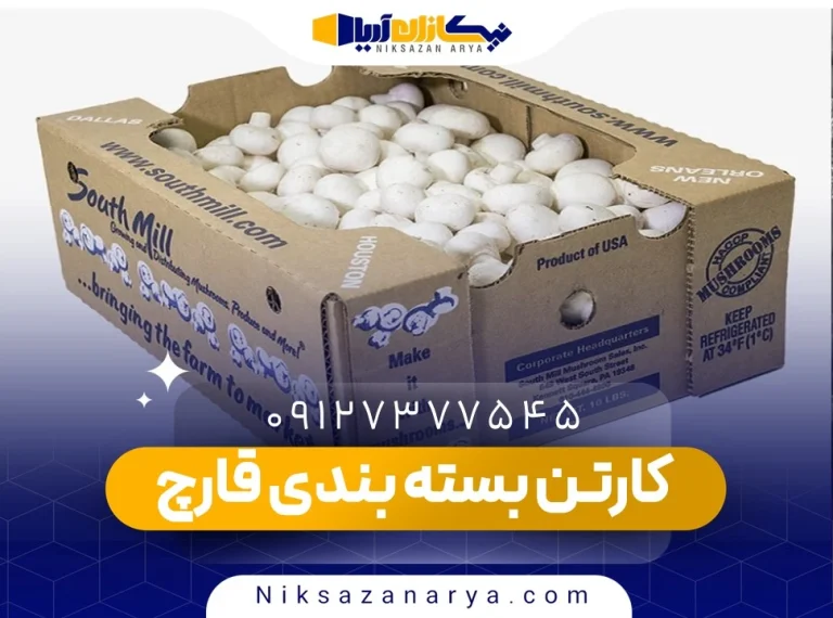 کارتن بسته بندی قارچ