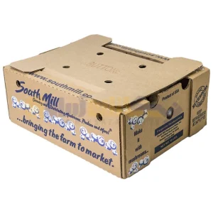 فروش کارتن بسته بندی قارچ