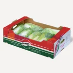 سفارش کارتن صادراتی رومانو