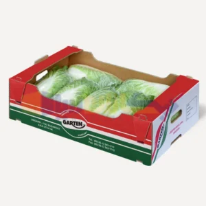 سفارش کارتن صادراتی رومانو