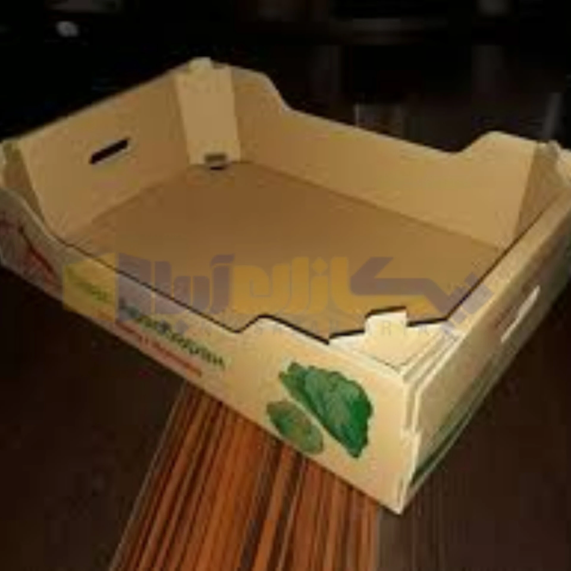 کارتن صادراتی رومانو