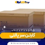 کارتن سر پالتی