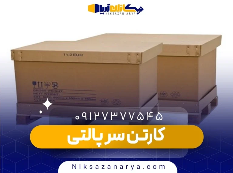 کارتن سر پالتی