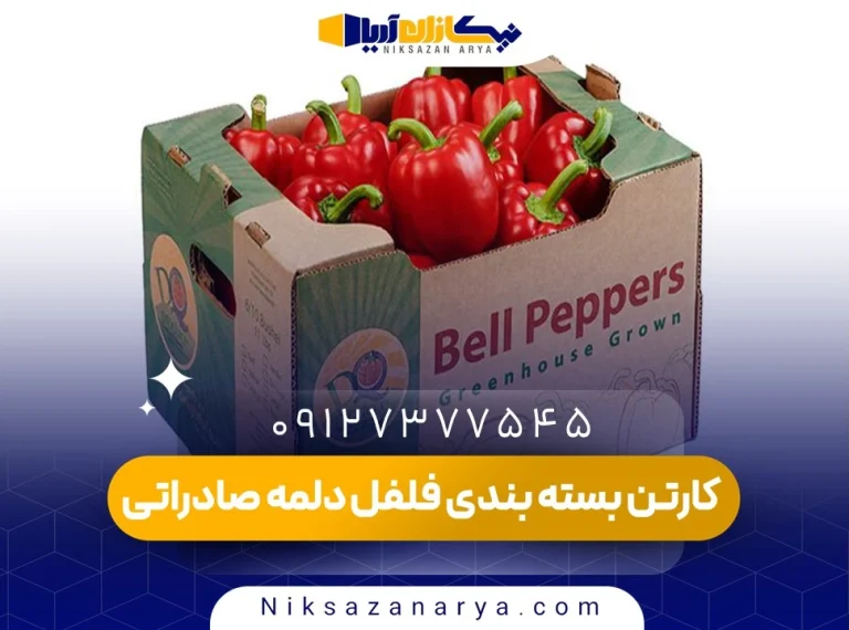 کارتن بسته بندی فلفل دلمه صادراتی