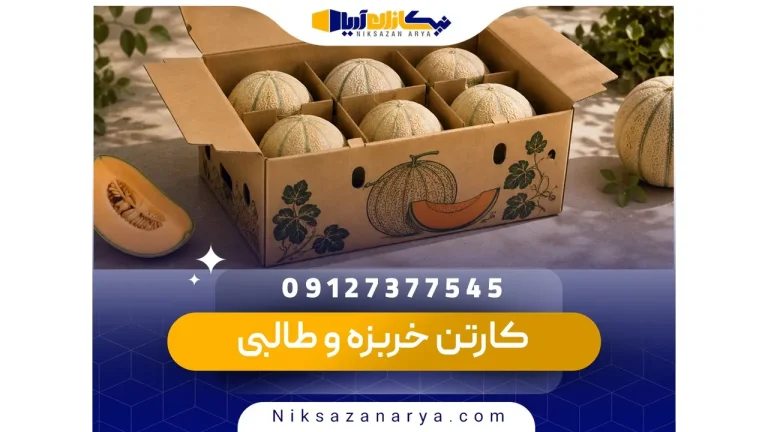 کارتن بسته بندی خربزه و طالبی