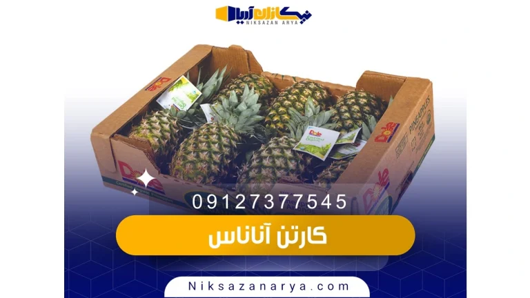 کارتن آناناس