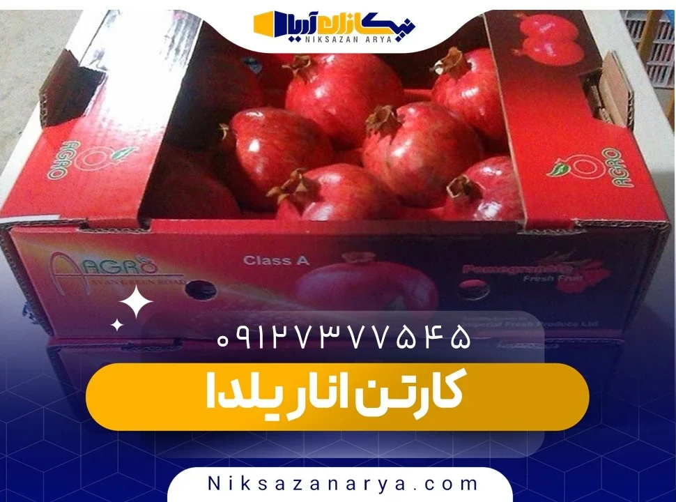 کارتن انار یلدا