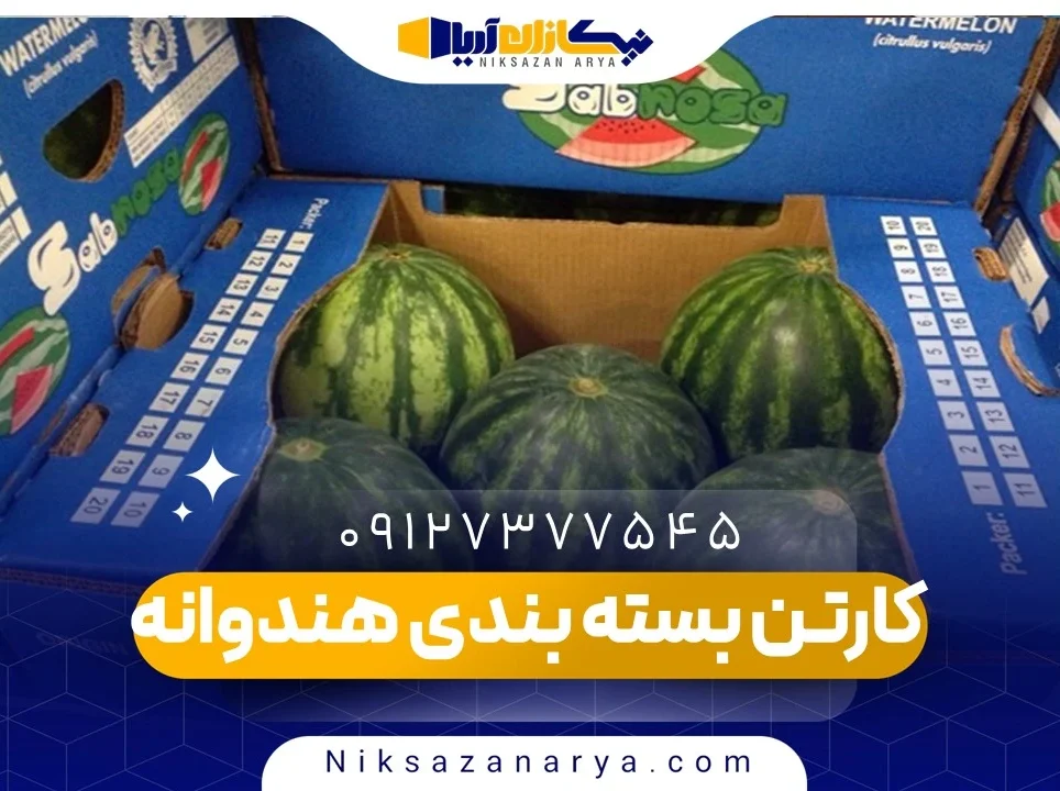کارتن هندوانه