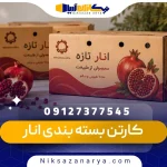 کارتن بسته بندی انار